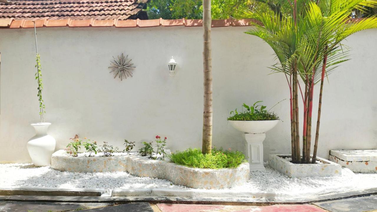 Boho Garden Guest House Mirissa Eksteriør bilde